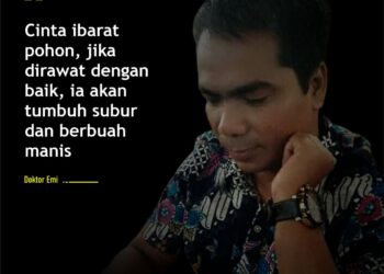 Cinta Ibarat Pohon